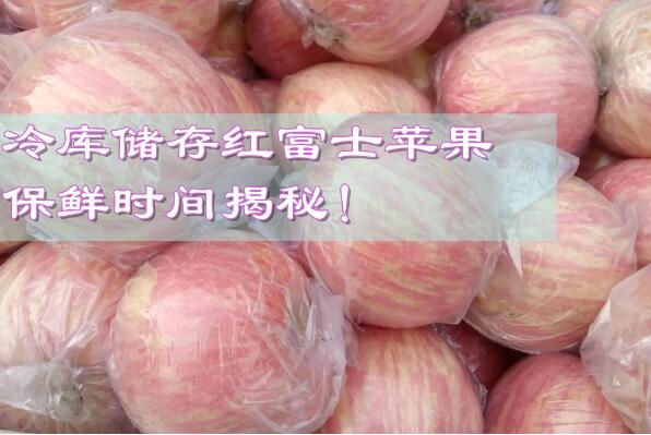 冷庫儲存紅富士蘋果，保鮮時間揭秘!