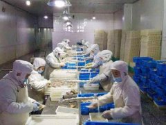 青島安裝一個水產海鮮冷凍庫需要多少錢？