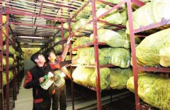 蔬菜冷庫能保鮮多久，造價是多少