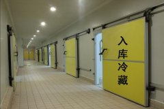 北京2000立方低溫冷庫設(shè)計(jì)安裝報(bào)價是多少
