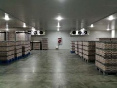 3000噸食品冷藏庫安裝造價是多少？