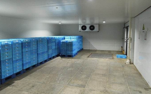 上海建造1000平米啤酒冷庫(kù)（冷藏庫(kù)）建設(shè)預(yù)算多少錢(qián)