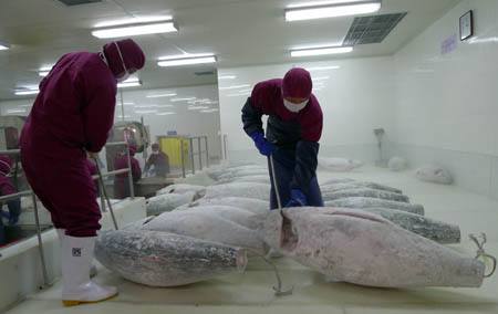 水產(chǎn)冷庫(kù)、三文魚(yú)生魚(yú)片冷庫(kù)