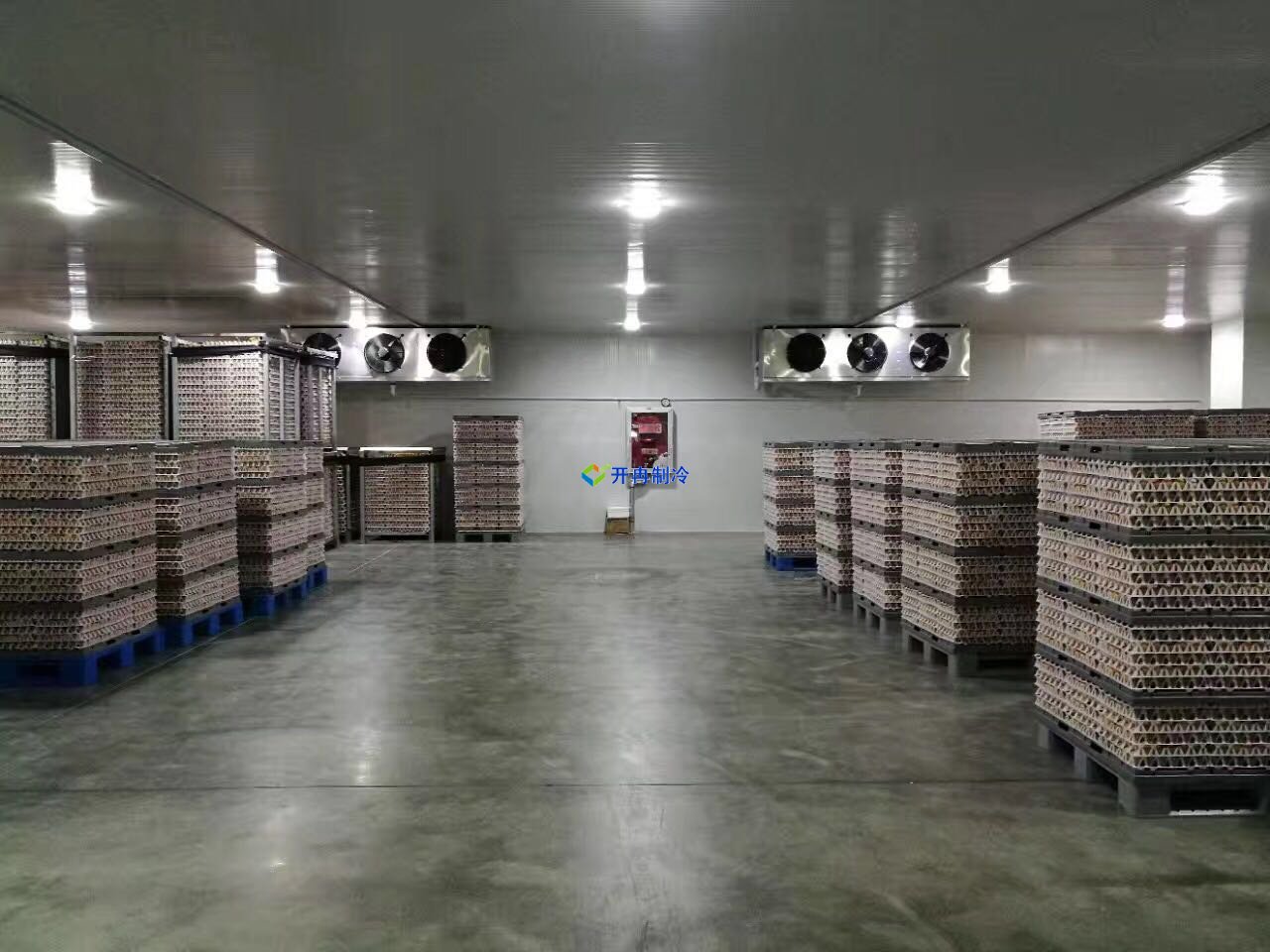 葡萄保鮮庫建造及設計造價，葡萄冷庫儲存方法