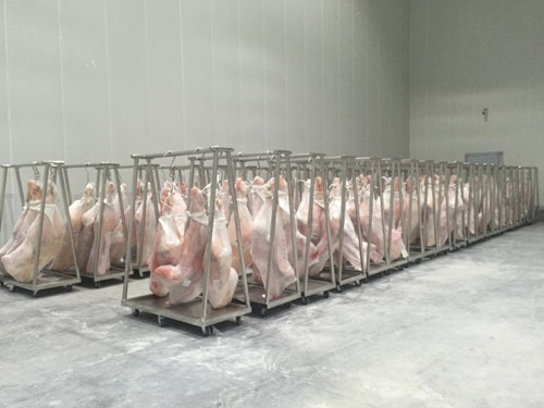  1000平牛肉冷藏庫造價多少錢，低溫凍肉冷庫建造