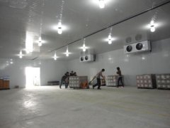 10000噸果蔬氣調庫建造需要多大面積，前期大概預算是多少？